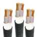 Picture of Cadivi Cable CXV -2x2 (2x7/0 60) -0 6/1kV