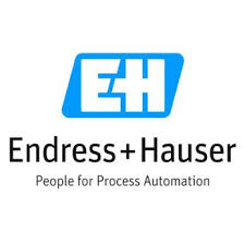 Picture for manufacturer Endress + Hauser