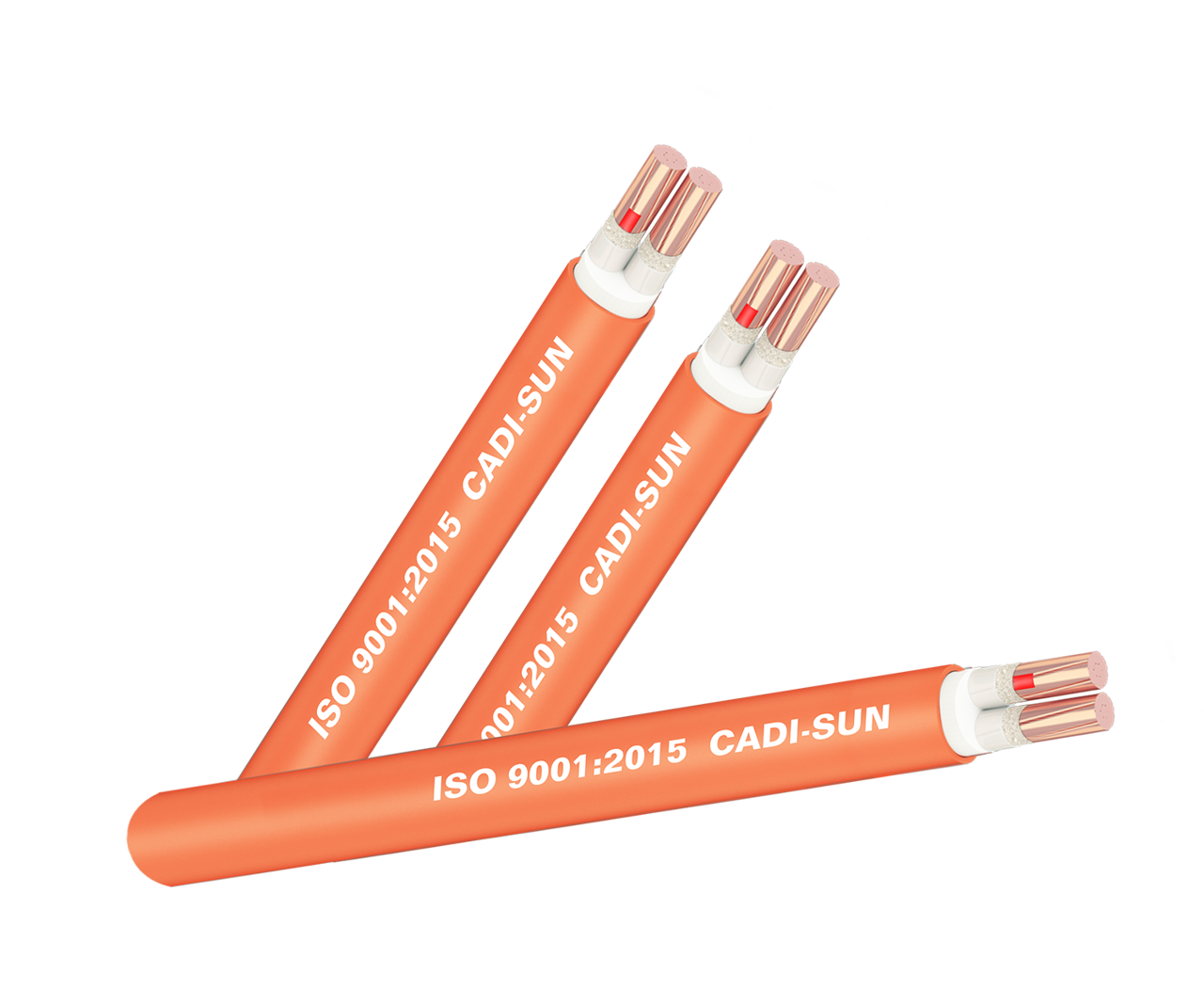 Picture of Cáp đồng chống cháy hai lõi bọc cách điện XLPE bọc vỏ PVC FRN-CXV 2x70 - Cadisun