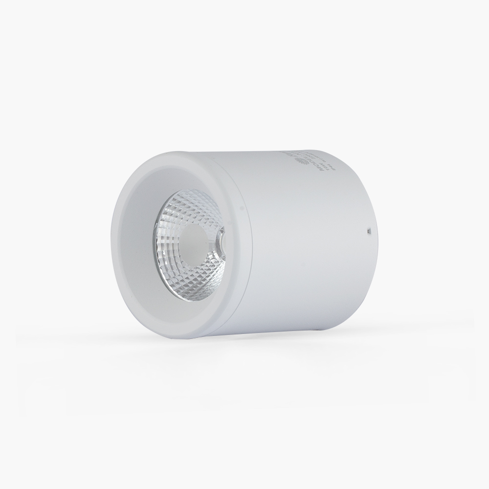 Picture of Downlight trang trí nổi trần 10W NT01 90/10W