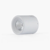 Picture of Downlight trang trí nổi trần 10W NT01 90/10W