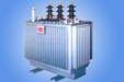 Picture of CTBT three phases oil transformer 31 5 kVA - 6 3(10) / 0 4 kV